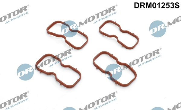 DRM01253S
