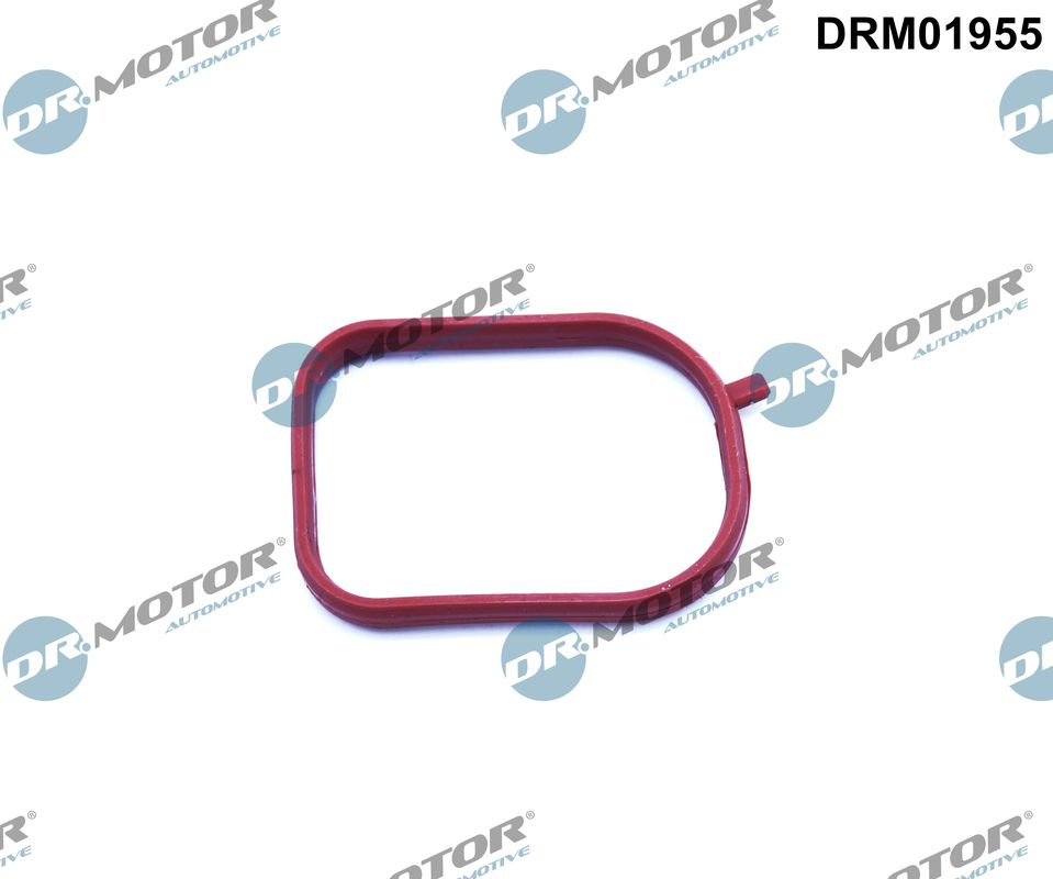 DRM01955