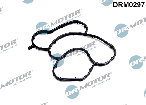 DRM0297