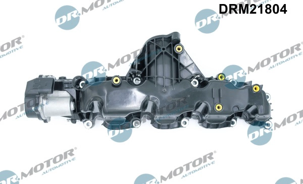 DRM21804