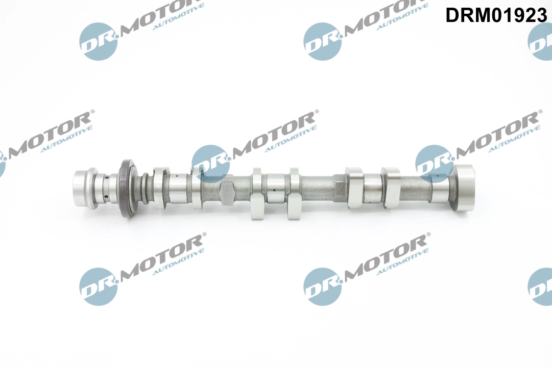 DRM01923