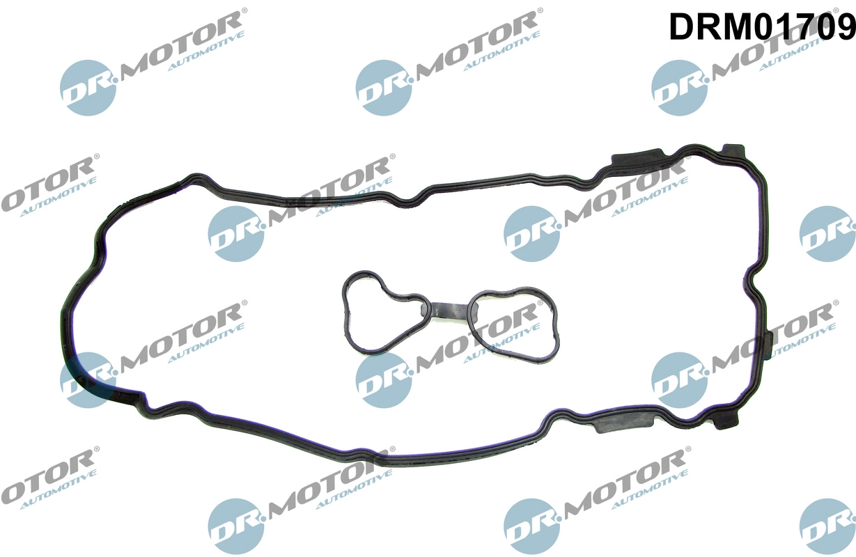 DRM01709