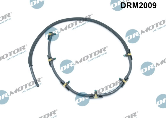 DRM2009