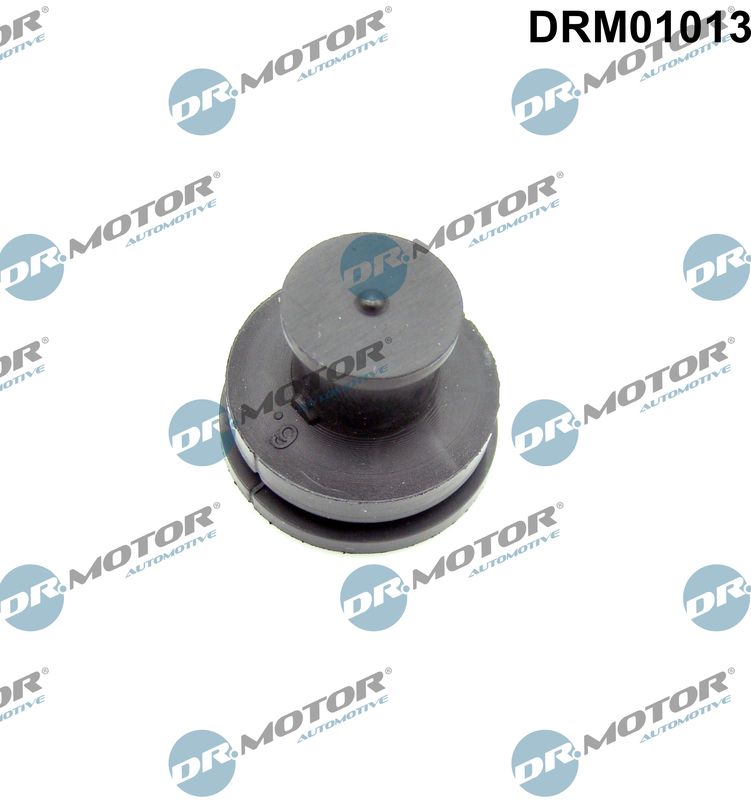 DRM01013