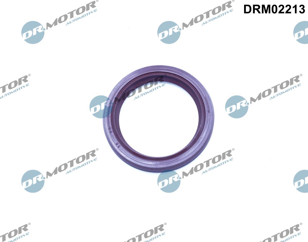 DRM02213