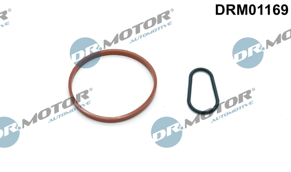 DRM01169