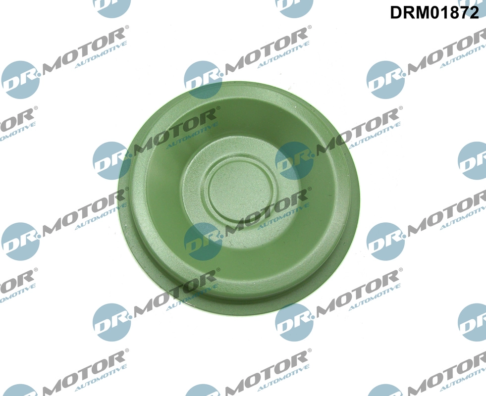DRM01872