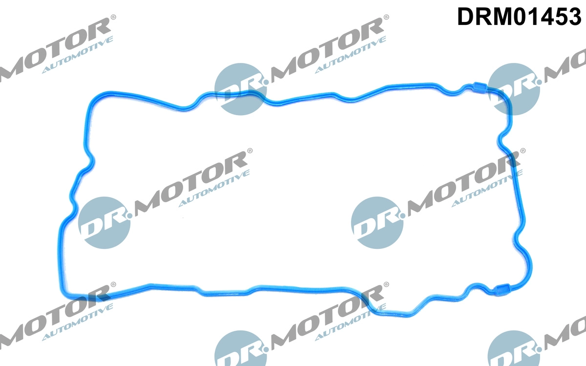 DRM01453