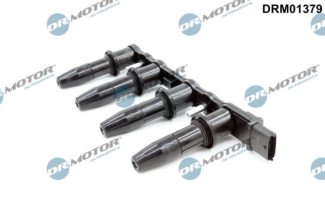 DRM01379