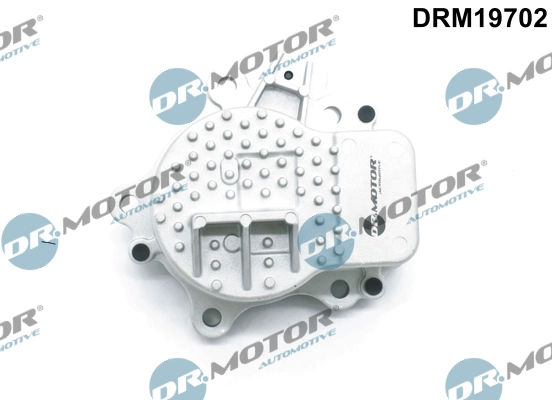 DRM19702