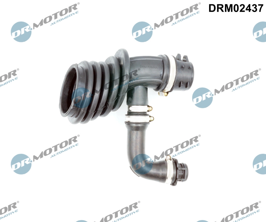 DRM02437