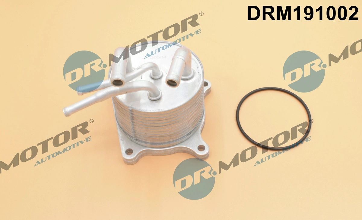 DRM191002