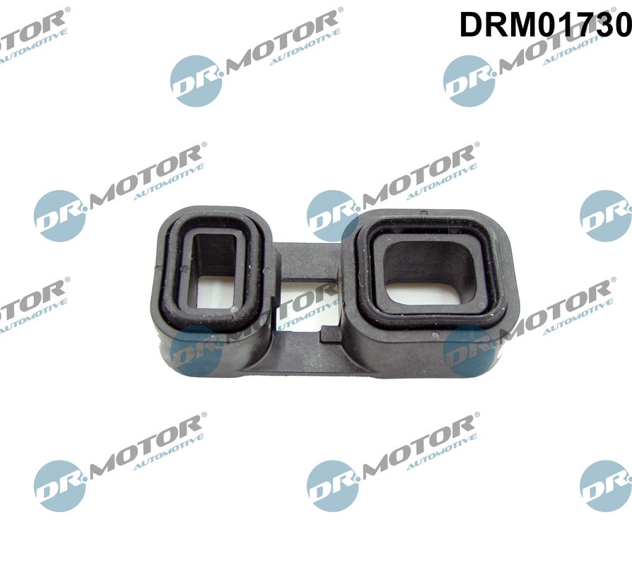 DRM01730