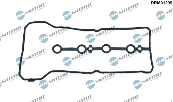 DRM01299