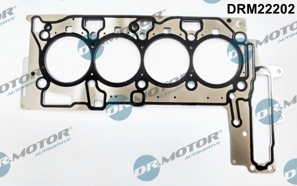 DRM22202