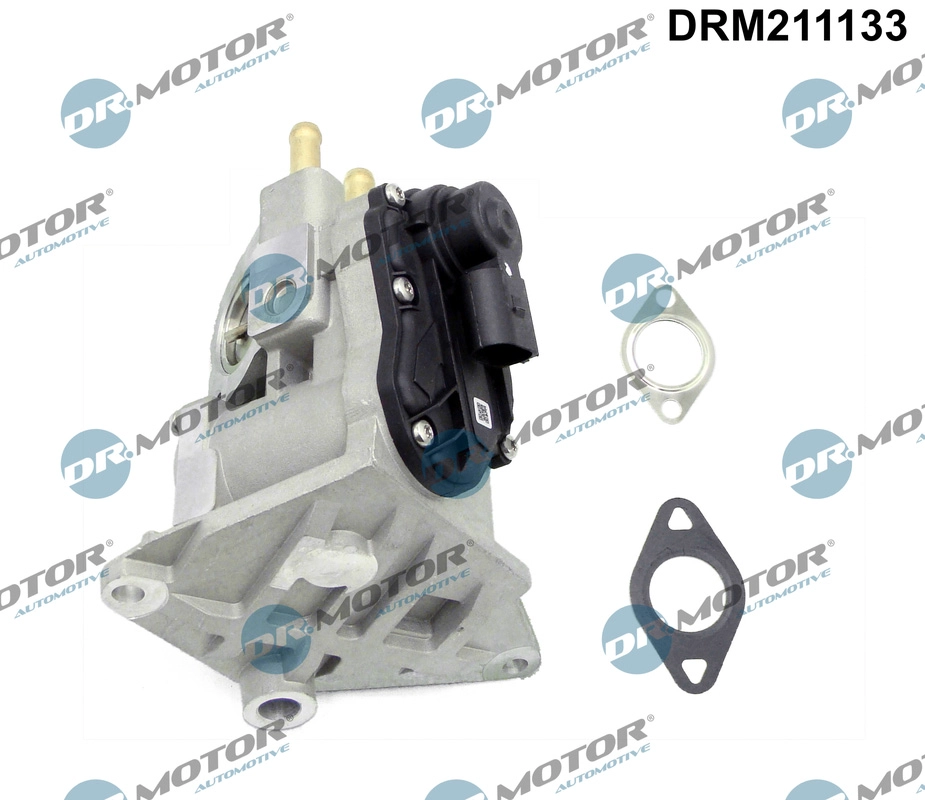 DRM211133