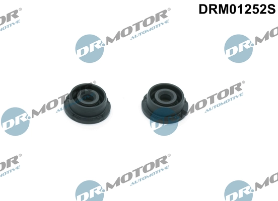 DRM01252S