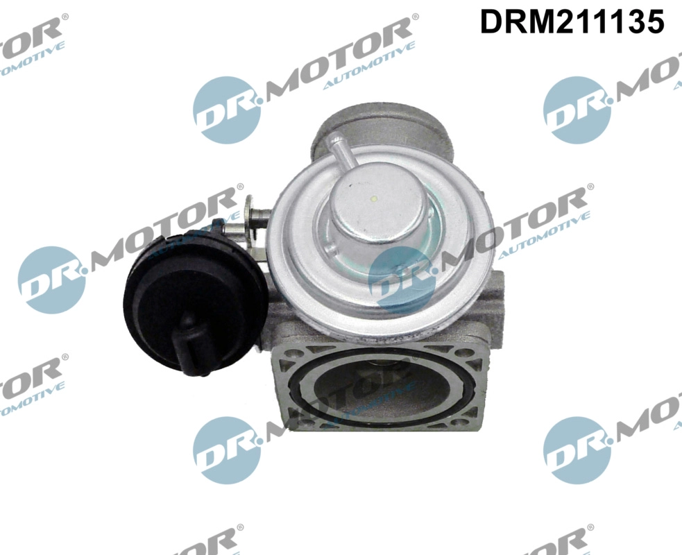 DRM211135