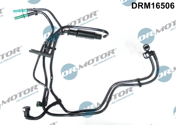 DRM16506