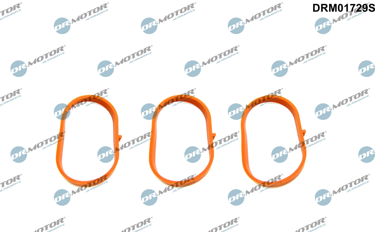 DRM01729S