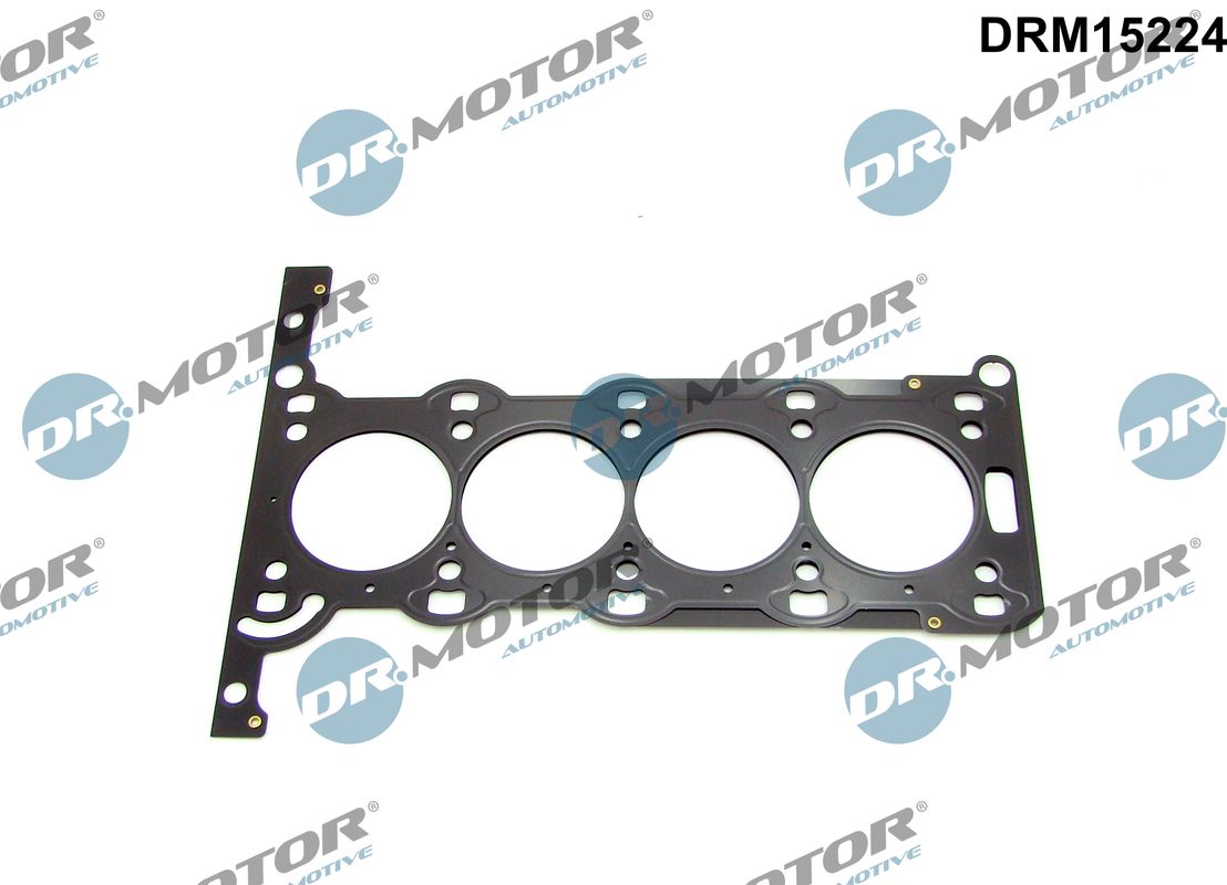 DRM15224