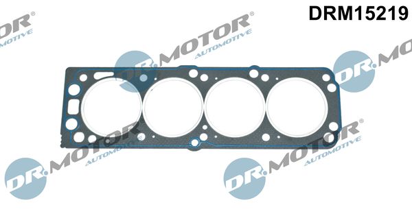 DRM15219