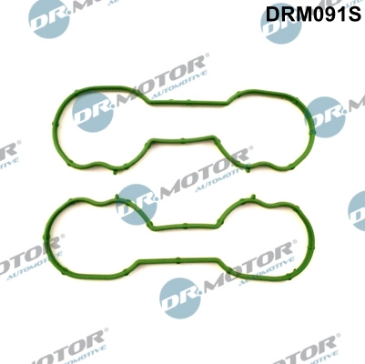 DRM091S