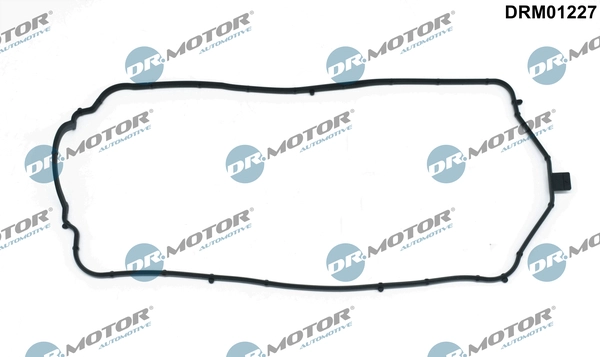 DRM01227