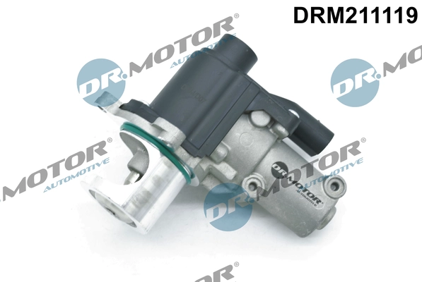 DRM211119