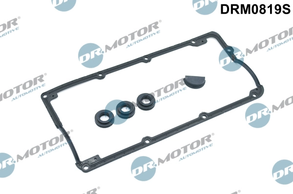 DRM0819S