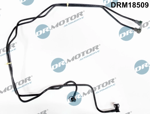 DRM18509