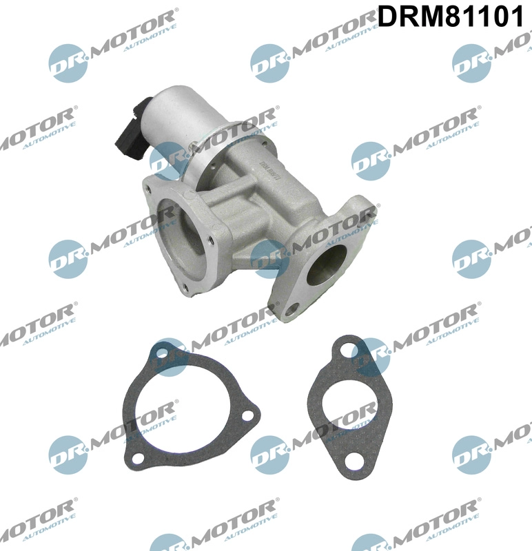 DRM81101