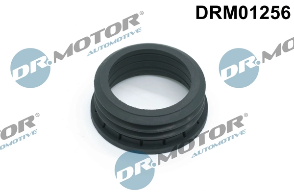 DRM01256