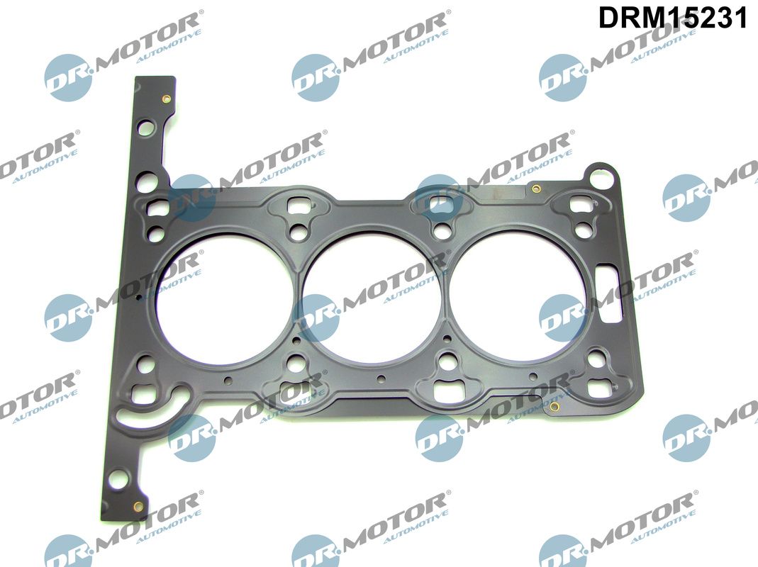 DRM15231