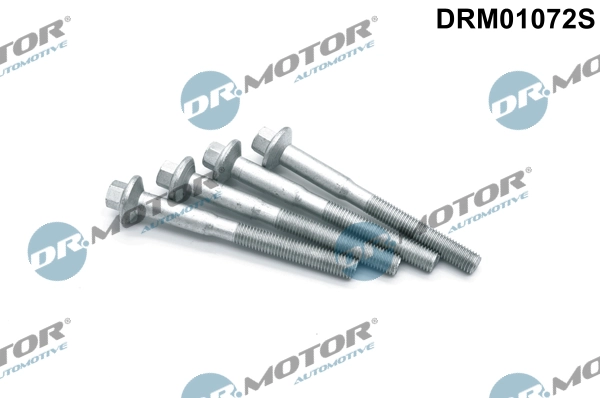 Болт, крепление форсунки *DR.MOTOR* Ford Transit Custom 2.2 TDCi 12-1|--->DRM01072S / OEM->967574298