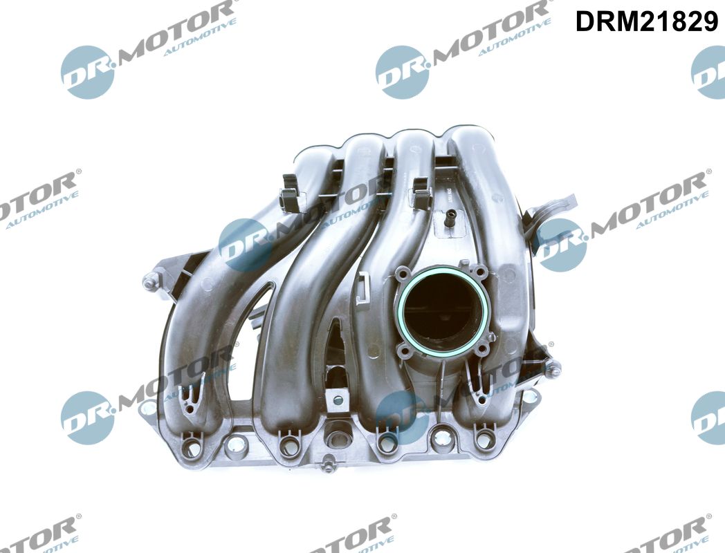 DRM21829