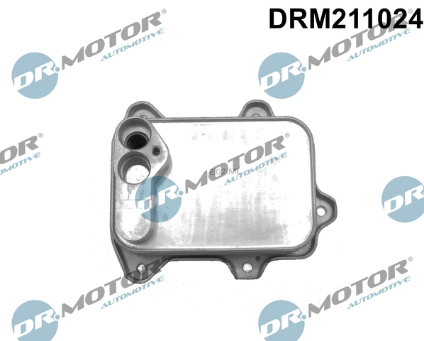 DRM211024
