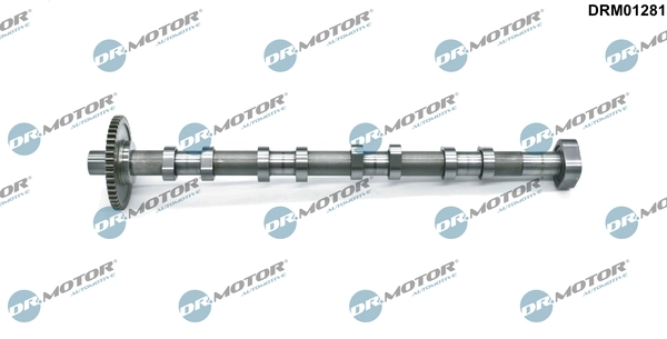 DRM01281