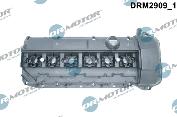 DRM2909