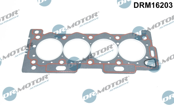 DRM16203