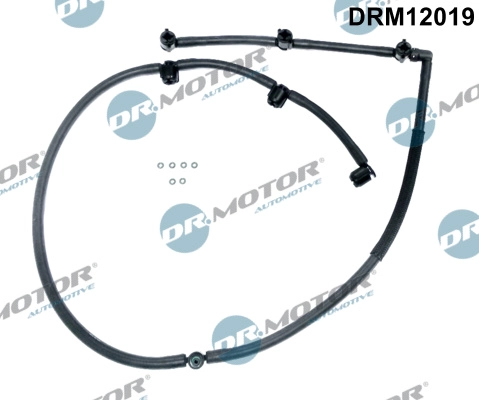DRM12019