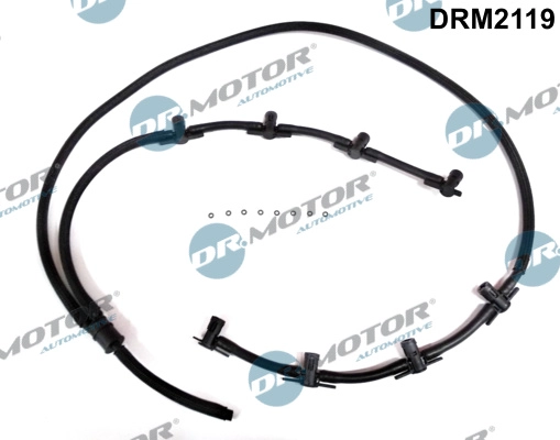 DRM2119