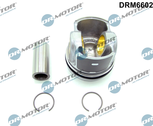 DRM6602
