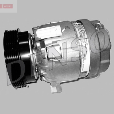 DCP20009