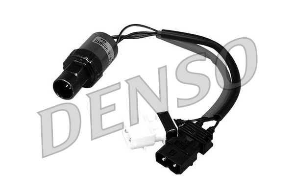 DPS05004