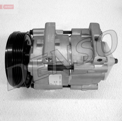 DCP10005