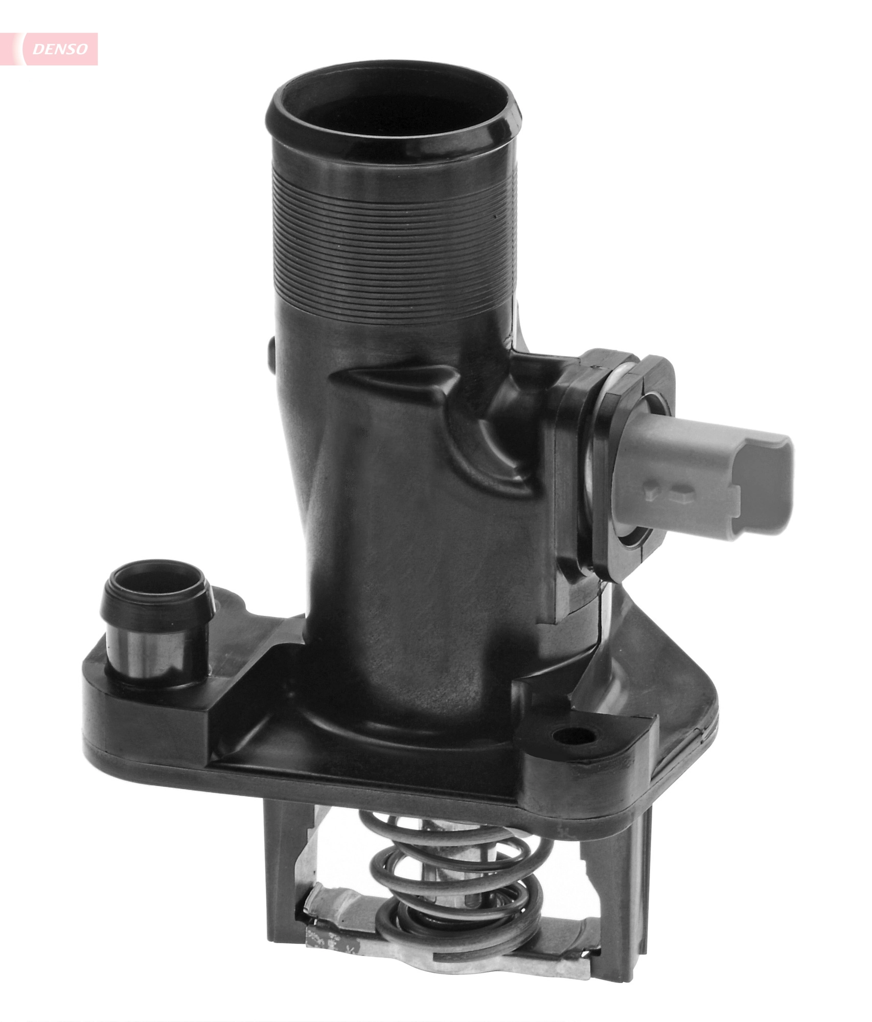 DTM84566