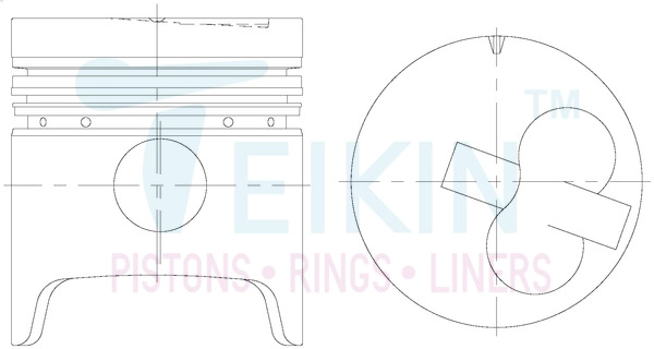 46231.100