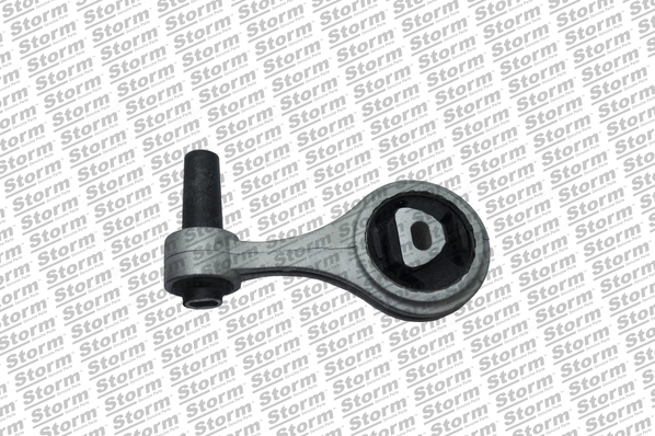 F13098