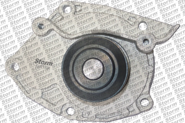 RST229